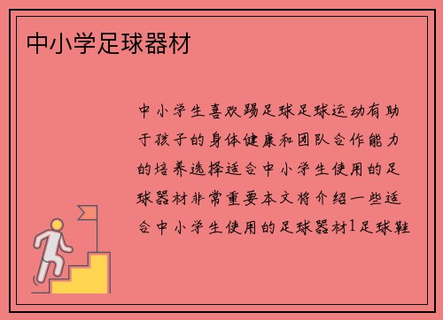 中小学足球器材