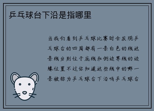 乒乓球台下沿是指哪里