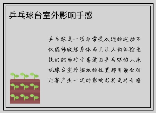 乒乓球台室外影响手感