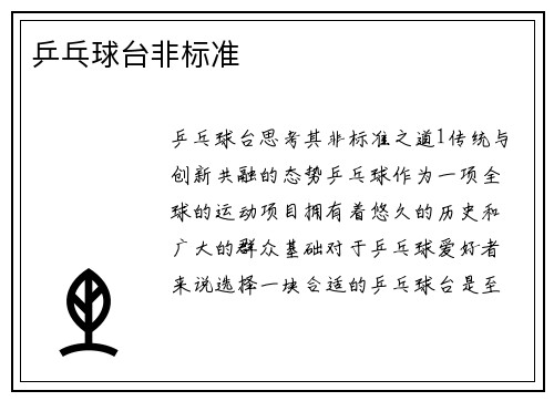 乒乓球台非标准