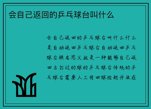 会自己返回的乒乓球台叫什么