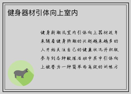 健身器材引体向上室内